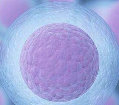 输卵管疾病对试管婴儿的影响体现在哪